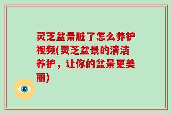 灵芝盆景脏了怎么养护视频(灵芝盆景的清洁养护，让你的盆景更美丽)-第1张图片-破壁灵芝孢子粉研究指南