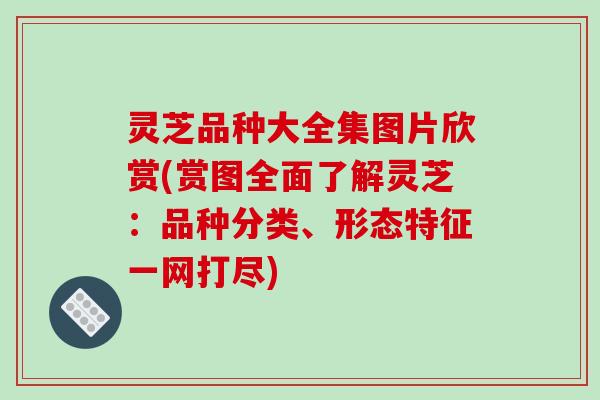 灵芝品种大全集图片欣赏(赏图全面了解灵芝：品种分类、形态特征一网打尽)-第1张图片-破壁灵芝孢子粉研究指南