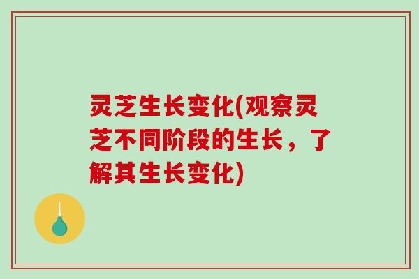 灵芝生长变化(观察灵芝不同阶段的生长，了解其生长变化)-第1张图片-破壁灵芝孢子粉研究指南