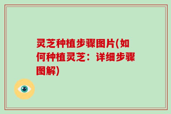 灵芝种植步骤图片(如何种植灵芝:详细步骤图解)-第1张图片-破壁灵芝孢子粉研究指南 灵芝种植步骤图片(如何种植灵芝:详细步骤图解)-第1张图片-破壁灵芝孢子粉研究指南