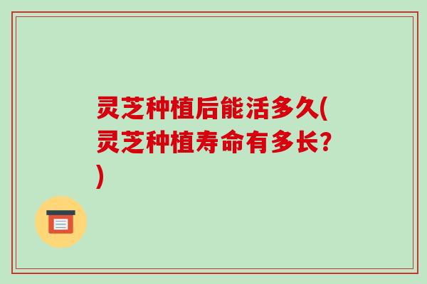 灵芝种植后能活多久(灵芝种植寿命有多长?)-第1张图片-破壁灵芝孢子粉研究指南 灵芝种植后能活多久(灵芝种植寿命有多长?)-第1张图片-破壁灵芝孢子粉研究指南