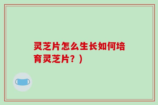 灵芝片怎么生长如何培育灵芝片?)-第1张图片-破壁灵芝孢子粉研究指南 灵芝片怎么生长如何培育灵芝片?)-第1张图片-破壁灵芝孢子粉研究指南
