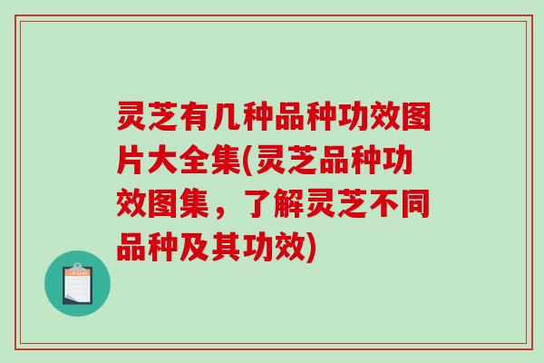 灵芝有几种品种功效图片大全集(灵芝品种功效图集，了解灵芝不同品种及其功效)-第1张图片-破壁灵芝孢子粉研究指南