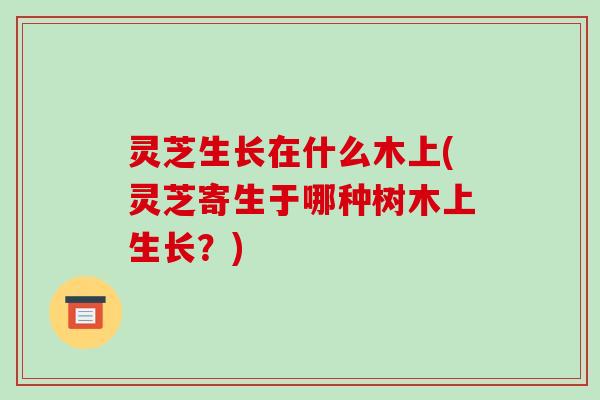灵芝生长在什么木上(灵芝寄生于哪种树木上生长？)-第1张图片-破壁灵芝孢子粉研究指南