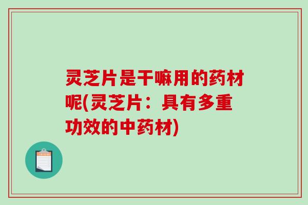 灵芝片是干嘛用的药材呢(灵芝片:具有多重功效的中药材)-第1张图片-破壁灵芝孢子粉研究指南 灵芝片是干嘛用的药材呢(灵芝片:具有多重功效的中药材)-第1张图片-破壁灵芝孢子粉研究指南