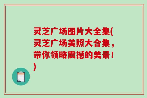 灵芝广场图片大全集(灵芝广场美照大合集,带你领略震撼的美景!)-第1张图片-破壁灵芝孢子粉研究指南 灵芝广场图片大全集(灵芝广场美照大合集,带你领略震撼的美景!)-第1张图片-破壁灵芝孢子粉研究指南