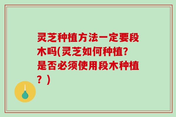 灵芝种植方法一定要段木吗(灵芝如何种植?是否必须使用段木种植?)-第1张图片-破壁灵芝孢子粉研究指南 灵芝种植方法一定要段木吗(灵芝如何种植?是否必须使用段木种植?)-第1张图片-破壁灵芝孢子粉研究指南