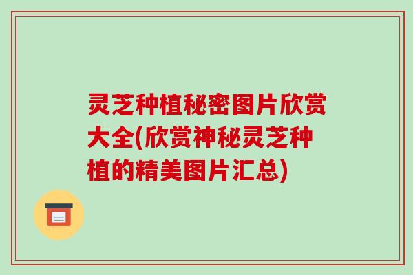 灵芝种植秘密图片欣赏大全(欣赏神秘灵芝种植的精美图片汇总)-第1张图片-破壁灵芝孢子粉研究指南 灵芝种植秘密图片欣赏大全(欣赏神秘灵芝种植的精美图片汇总)-第1张图片-破壁灵芝孢子粉研究指南