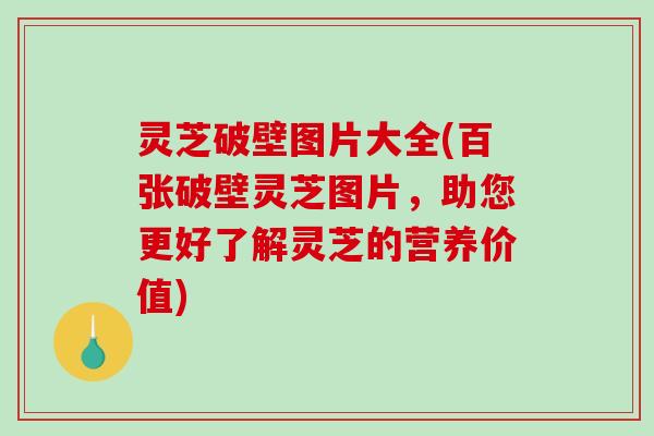灵芝破壁图片大全(百张破壁灵芝图片，助您更好了解灵芝的营养价值)-第1张图片-破壁灵芝孢子粉研究指南