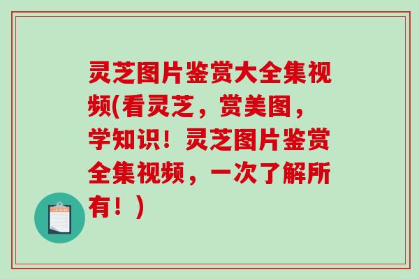 灵芝图片鉴赏大全集视频(看灵芝,赏美图,学知识!灵芝图片鉴赏全集视频,一次了解所有!)-第1张图片-破壁灵芝孢子粉研究指南 灵芝图片鉴赏大全集视频(看灵芝,赏美图,学知识!灵芝图片鉴赏全集视频,一次了解所有!)-第1张图片-破壁灵芝孢子粉研究指南