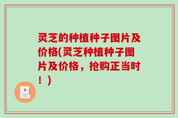 灵芝的种植种子图片及价格(灵芝种植种子图片及价格，抢购正当时！)-第1张图片-破壁灵芝孢子粉研究指南