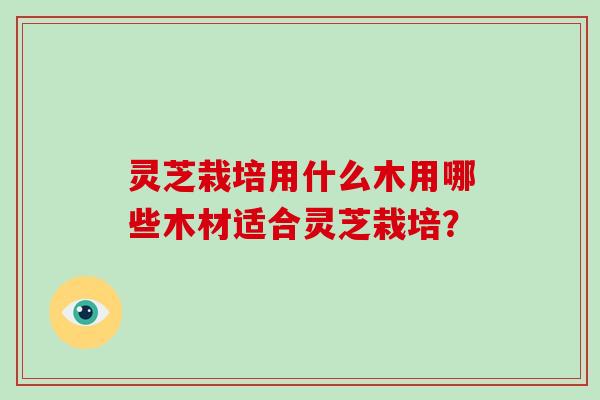 灵芝栽培用什么木用哪些木材适合灵芝栽培?-第1张图片-破壁灵芝孢子粉研究指南 灵芝栽培用什么木用哪些木材适合灵芝栽培?-第1张图片-破壁灵芝孢子粉研究指南