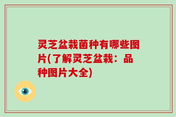 灵芝盆栽菌种有哪些图片(了解灵芝盆栽:品种图片大全)-第1张图片-破壁灵芝孢子粉研究指南 灵芝盆栽菌种有哪些图片(了解灵芝盆栽:品种图片大全)-第1张图片-破壁灵芝孢子粉研究指南