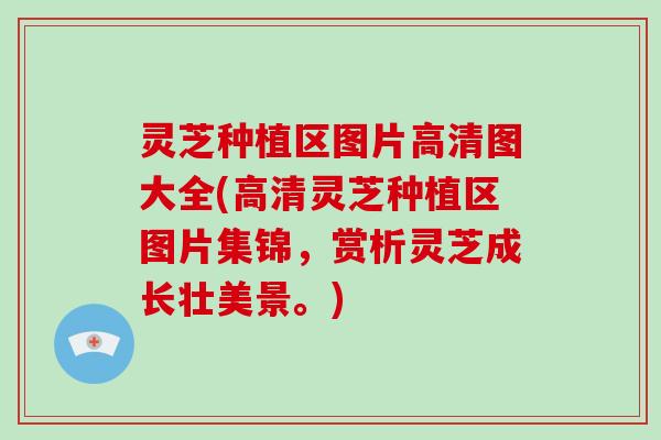 灵芝种植区图片高清图大全(高清灵芝种植区图片集锦,赏析灵芝成长壮美景。)-第1张图片-破壁灵芝孢子粉研究指南 灵芝种植区图片高清图大全(高清灵芝种植区图片集锦,赏析灵芝成长壮美景。)-第1张图片-破壁灵芝孢子粉研究指南