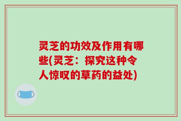 灵芝的功效及作用有哪些(灵芝：探究这种令人惊叹的草药的益处)-第1张图片-破壁灵芝孢子粉研究指南