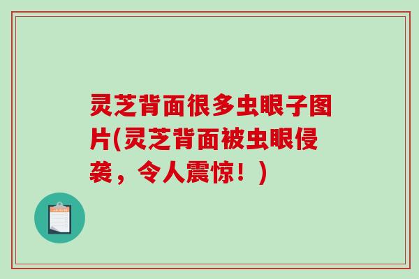 灵芝背面很多虫眼子图片(灵芝背面被虫眼侵袭,令人震惊!)-第1张图片-破壁灵芝孢子粉研究指南 灵芝背面很多虫眼子图片(灵芝背面被虫眼侵袭,令人震惊!)-第1张图片-破壁灵芝孢子粉研究指南