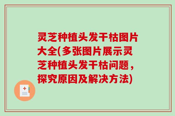灵芝种植头发干枯图片大全(多张图片展示灵芝种植头发干枯问题,探究原因及解决方法)-第1张图片-破壁灵芝孢子粉研究指南 灵芝种植头发干枯图片大全(多张图片展示灵芝种植头发干枯问题,探究原因及解决方法)-第1张图片-破壁灵芝孢子粉研究指南