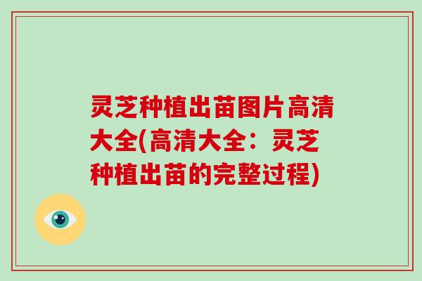 灵芝种植出苗图片高清大全(高清大全:灵芝种植出苗的完整过程)-第1张图片-破壁灵芝孢子粉研究指南 灵芝种植出苗图片高清大全(高清大全:灵芝种植出苗的完整过程)-第1张图片-破壁灵芝孢子粉研究指南