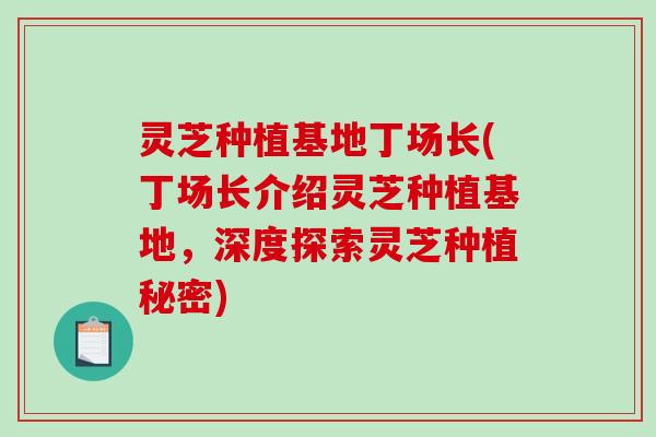 灵芝种植基地丁场长(丁场长介绍灵芝种植基地，深度探索灵芝种植秘密)-第1张图片-破壁灵芝孢子粉研究指南