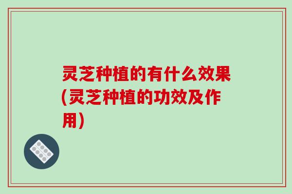 灵芝种植的有什么效果(灵芝种植的功效及作用)-第1张图片-破壁灵芝孢子粉研究指南