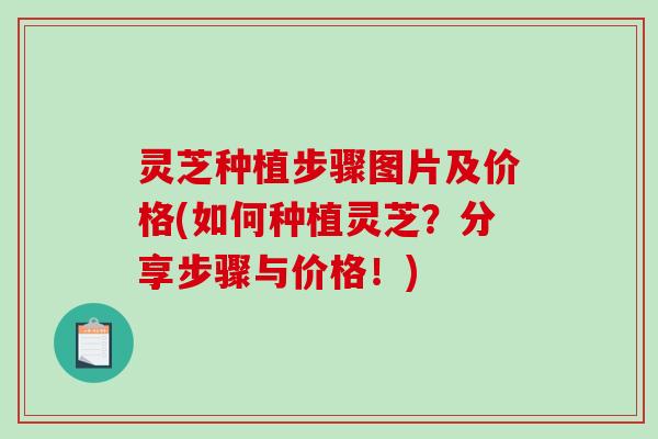 灵芝种植步骤图片及价格(如何种植灵芝?分享步骤与价格!)-第1张图片-破壁灵芝孢子粉研究指南 灵芝种植步骤图片及价格(如何种植灵芝?分享步骤与价格!)-第1张图片-破壁灵芝孢子粉研究指南