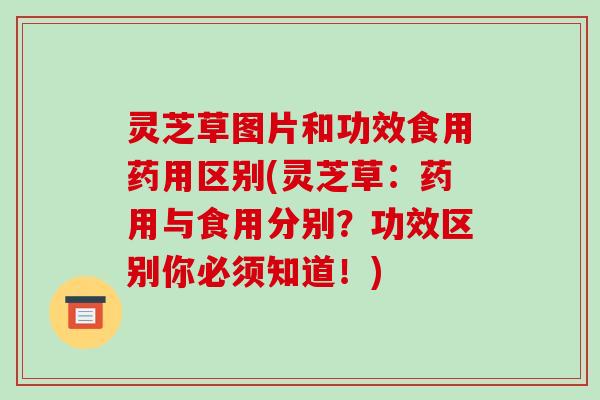 灵芝草图片和功效食用药用区别(灵芝草：药用与食用分别？功效区别你必须知道！)-第1张图片-破壁灵芝孢子粉研究指南