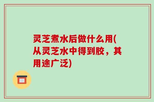 灵芝煮水后做什么用(从灵芝水中得到胶,其用途广泛)-第1张图片-破壁灵芝孢子粉研究指南 灵芝煮水后做什么用(从灵芝水中得到胶,其用途广泛)-第1张图片-破壁灵芝孢子粉研究指南