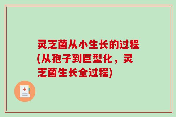 灵芝菌从小生长的过程(从孢子到巨型化，灵芝菌生长全过程)-第1张图片-破壁灵芝孢子粉研究指南