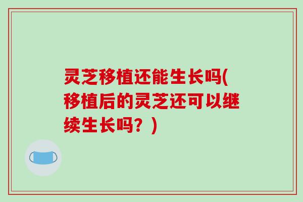 灵芝移植还能生长吗(移植后的灵芝还可以继续生长吗?)-第1张图片-破壁灵芝孢子粉研究指南 灵芝移植还能生长吗(移植后的灵芝还可以继续生长吗?)-第1张图片-破壁灵芝孢子粉研究指南