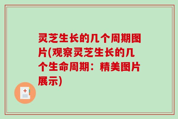 灵芝生长的几个周期图片(观察灵芝生长的几个生命周期:精美图片展示)-第1张图片-破壁灵芝孢子粉研究指南 灵芝生长的几个周期图片(观察灵芝生长的几个生命周期:精美图片展示)-第1张图片-破壁灵芝孢子粉研究指南