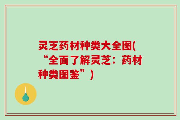 灵芝药材种类大全图(“全面了解灵芝:药材种类图鉴”)-第1张图片-破壁灵芝孢子粉研究指南 灵芝药材种类大全图(“全面了解灵芝:药材种类图鉴”)-第1张图片-破壁灵芝孢子粉研究指南