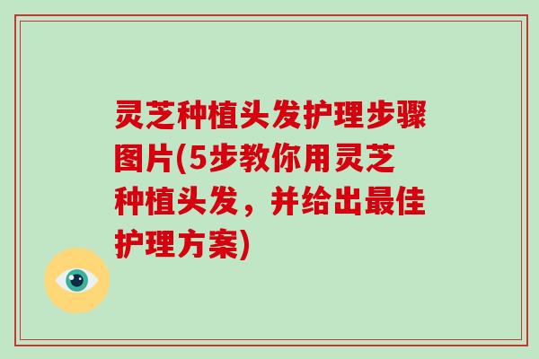 灵芝种植头发护理步骤图片(5步教你用灵芝种植头发,并给出最佳护理方案)-第1张图片-破壁灵芝孢子粉研究指南 灵芝种植头发护理步骤图片(5步教你用灵芝种植头发,并给出最佳护理方案)-第1张图片-破壁灵芝孢子粉研究指南