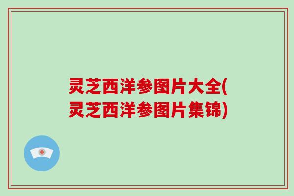 灵芝西洋参图片大全(灵芝西洋参图片集锦)-第1张图片-破壁灵芝孢子粉研究指南