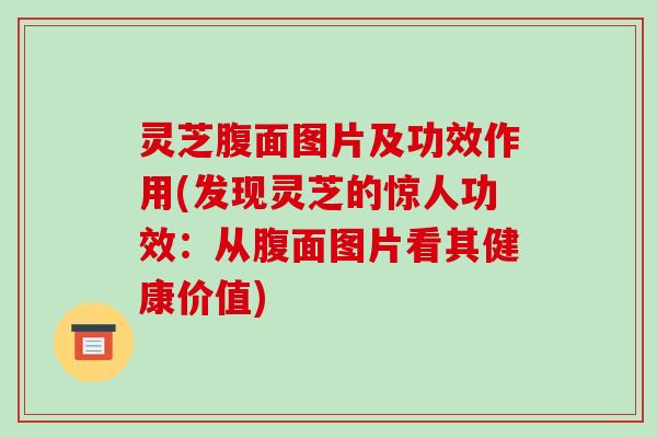 灵芝腹面图片及功效作用(发现灵芝的惊人功效:从腹面图片看其健康价值)-第1张图片-破壁灵芝孢子粉研究指南 灵芝腹面图片及功效作用(发现灵芝的惊人功效:从腹面图片看其健康价值)-第1张图片-破壁灵芝孢子粉研究指南
