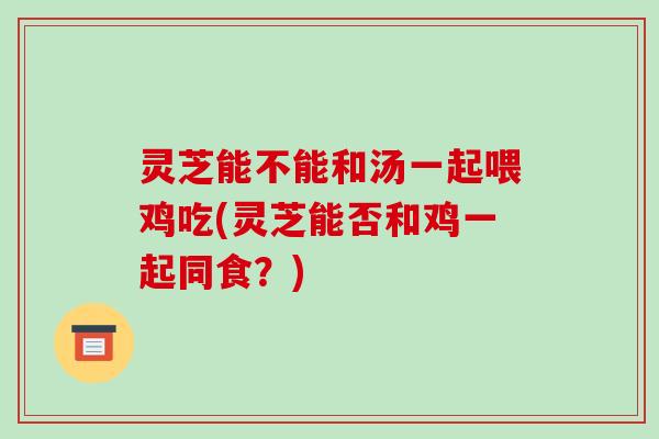 灵芝能不能和汤一起喂鸡吃(灵芝能否和鸡一起同食?)-第1张图片-破壁灵芝孢子粉研究指南 灵芝能不能和汤一起喂鸡吃(灵芝能否和鸡一起同食?)-第1张图片-破壁灵芝孢子粉研究指南