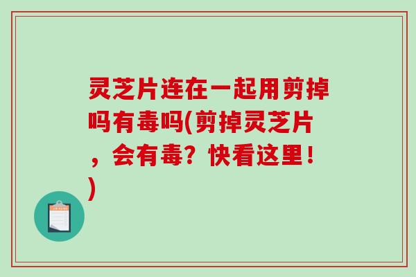 灵芝片连在一起用剪掉吗有毒吗(剪掉灵芝片,会有毒?快看这里!)-第1张图片-破壁灵芝孢子粉研究指南 灵芝片连在一起用剪掉吗有毒吗(剪掉灵芝片,会有毒?快看这里!)-第1张图片-破壁灵芝孢子粉研究指南