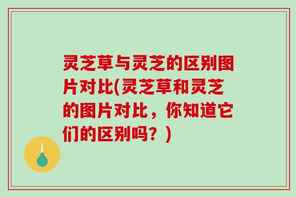 灵芝草与灵芝的区别图片对比(灵芝草和灵芝的图片对比,你知道它们的区别吗?)-第1张图片-破壁灵芝孢子粉研究指南 灵芝草与灵芝的区别图片对比(灵芝草和灵芝的图片对比,你知道它们的区别吗?)-第1张图片-破壁灵芝孢子粉研究指南