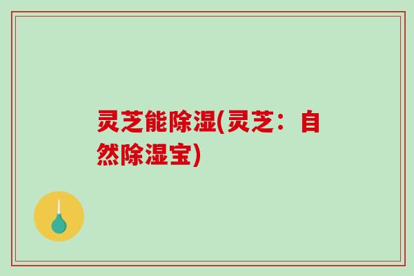 灵芝能除湿(灵芝:自然除湿宝)-第1张图片-破壁灵芝孢子粉研究指南 灵芝能除湿(灵芝:自然除湿宝)-第1张图片-破壁灵芝孢子粉研究指南