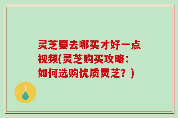 灵芝要去哪买才好一点视频(灵芝购买攻略:如何选购优质灵芝?)-第1张图片-破壁灵芝孢子粉研究指南 灵芝要去哪买才好一点视频(灵芝购买攻略:如何选购优质灵芝?)-第1张图片-破壁灵芝孢子粉研究指南