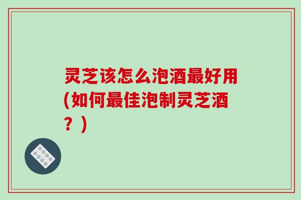 灵芝该怎么泡酒最好用(如何最佳泡制灵芝酒?)-第1张图片-破壁灵芝孢子粉研究指南 灵芝该怎么泡酒最好用(如何最佳泡制灵芝酒?)-第1张图片-破壁灵芝孢子粉研究指南