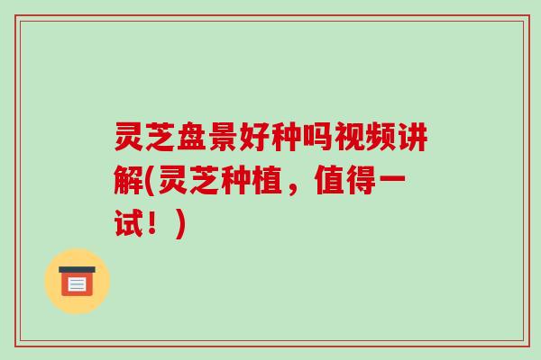 灵芝盘景好种吗视频讲解(灵芝种植,值得一试!)-第1张图片-破壁灵芝孢子粉研究指南 灵芝盘景好种吗视频讲解(灵芝种植,值得一试!)-第1张图片-破壁灵芝孢子粉研究指南