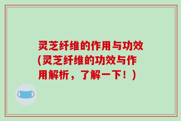 灵芝纤维的作用与功效(灵芝纤维的功效与作用解析,了解一下!)-第1张图片-破壁灵芝孢子粉研究指南 灵芝纤维的作用与功效(灵芝纤维的功效与作用解析,了解一下!)-第1张图片-破壁灵芝孢子粉研究指南