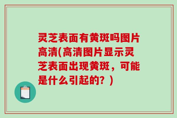 灵芝表面有黄斑吗图片高清(高清图片显示灵芝表面出现黄斑,可能是什么引起的?)-第1张图片-破壁灵芝孢子粉研究指南 灵芝表面有黄斑吗图片高清(高清图片显示灵芝表面出现黄斑,可能是什么引起的?)-第1张图片-破壁灵芝孢子粉研究指南