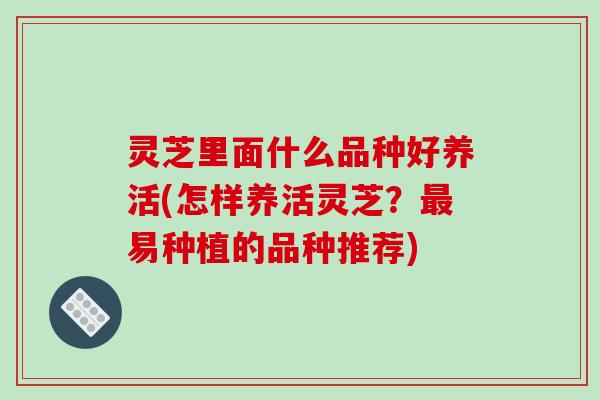 灵芝里面什么品种好养活(怎样养活灵芝?最易种植的品种推荐)-第1张图片-破壁灵芝孢子粉研究指南 灵芝里面什么品种好养活(怎样养活灵芝?最易种植的品种推荐)-第1张图片-破壁灵芝孢子粉研究指南