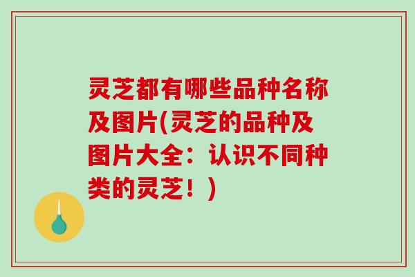 灵芝都有哪些品种名称及图片(灵芝的品种及图片大全：认识不同种类的灵芝！)-第1张图片-破壁灵芝孢子粉研究指南
