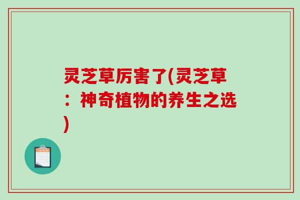 灵芝草厉害了(灵芝草：神奇植物的养生之选)-第1张图片-破壁灵芝孢子粉研究指南