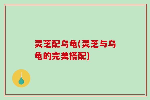 灵芝配乌龟(灵芝与乌龟的完美搭配)-第1张图片-破壁灵芝孢子粉研究指南 灵芝配乌龟(灵芝与乌龟的完美搭配)-第1张图片-破壁灵芝孢子粉研究指南