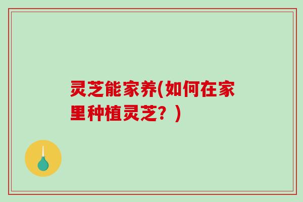 灵芝能家养(如何在家里种植灵芝?)-第1张图片-破壁灵芝孢子粉研究指南 灵芝能家养(如何在家里种植灵芝?)-第1张图片-破壁灵芝孢子粉研究指南