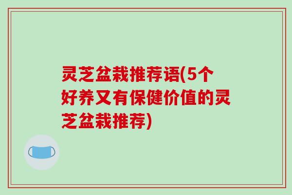 灵芝盆栽推荐语(5个好养又有保健价值的灵芝盆栽推荐)-第1张图片-破壁灵芝孢子粉研究指南