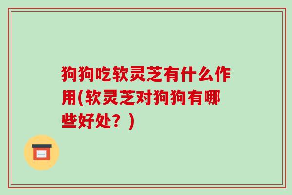 狗狗吃软灵芝有什么作用(软灵芝对狗狗有哪些好处?)-第1张图片-破壁灵芝孢子粉研究指南 狗狗吃软灵芝有什么作用(软灵芝对狗狗有哪些好处?)-第1张图片-破壁灵芝孢子粉研究指南